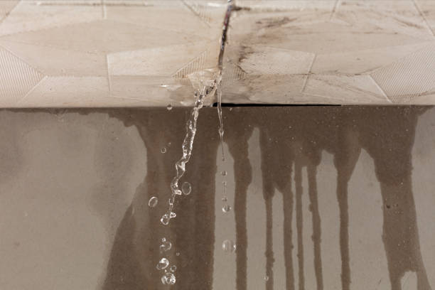 Professional Structural Drying technician working in Newaygo, MI
